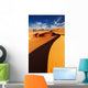 Sahara Desert Algeria Wall Decal