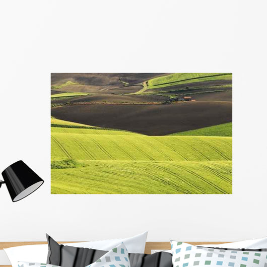 Campaign Ururi Cb Wall Decal