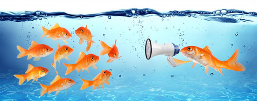 Announcement Conference or Political Wall Decal