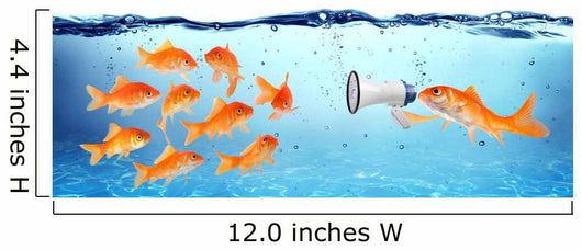 Announcement Conference or Political Wall Decal
