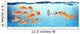Announcement Conference or Political Wall Decal