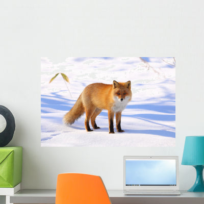 Red Fox in Snow Wall Decal shown on a wall