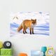 Red Fox in Snow Wall Decal