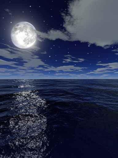 Night Full Moon Wall Decal