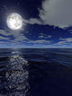 Night Full Moon Wall Decal