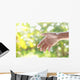 Helping Hands against Nature Wall Decal