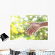 Helping Hands against Nature Wall Decal
