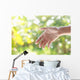 Helping Hands against Nature Wall Decal