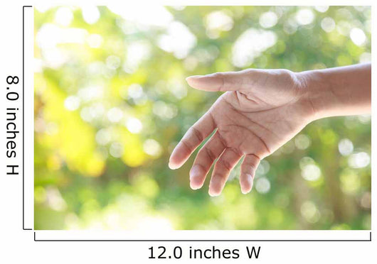 Helping Hands against Nature Wall Decal