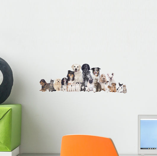 Grosse Hunde Und Katzengruppe Wall Decal
