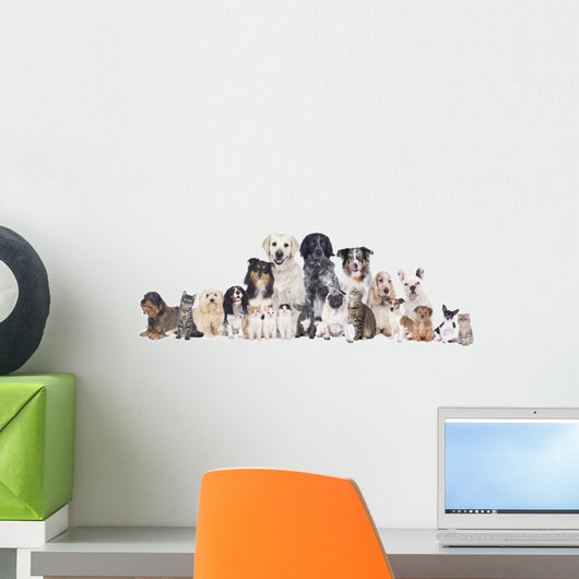 Grosse Hunde Und Katzengruppe Wall Decal