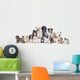 Grosse Hunde Und Katzengruppe Wall Decal