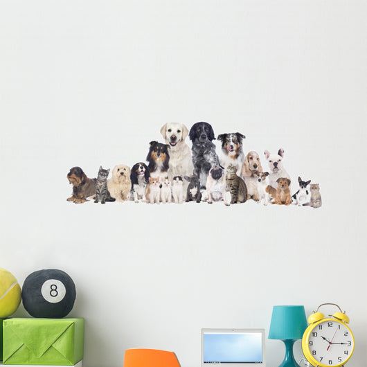Grosse Hunde Und Katzengruppe Wall Decal