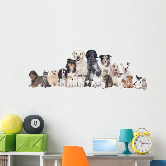 Grosse Hunde Und Katzengruppe Wall Decal