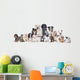 Grosse Hunde Und Katzengruppe Wall Decal