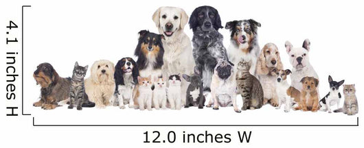 Grosse Hunde Und Katzengruppe Wall Decal