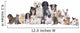 Grosse Hunde Und Katzengruppe Wall Decal
