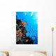 Photo Coral Colony Red Wall Decal