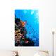 Photo Coral Colony Red Wall Decal