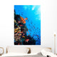 Photo Coral Colony Red Wall Decal