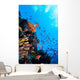 Photo Coral Colony Red Wall Decal