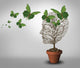 Psychology Help Wall Decal