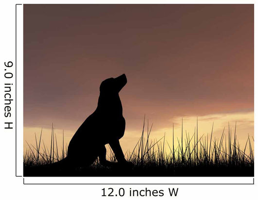 Dog silhouette in grass at sunset Wall Decal