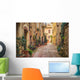 Street in old mediaeval town in Tuscany, Pienza. Wall Decal