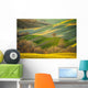 Spring Tuscan fields bathed in warm sunlight Wall Decal