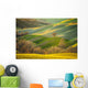 Spring Tuscan fields bathed in warm sunlight Wall Decal