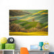 Spring Tuscan fields bathed in warm sunlight Wall Decal