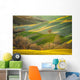 Spring Tuscan fields bathed in warm sunlight Wall Decal