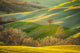 Spring Tuscan fields bathed in warm sunlight Wall Decal