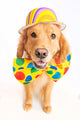Dog Clown with Hat Wall Decal