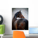 Portrait Sports Horse Winter Wall Decal