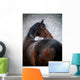 Portrait Sports Horse Winter Wall Decal