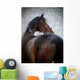Portrait Sports Horse Winter Wall Decal