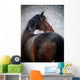 Portrait Sports Horse Winter Wall Decal