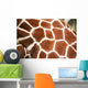 Giraffe up Texture Spots Wall Decal