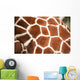 Giraffe up Texture Spots Wall Decal
