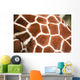 Giraffe up Texture Spots Wall Decal