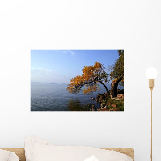 Lake Balaton Wall Decal