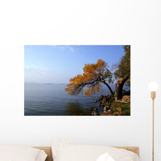 Lake Balaton Wall Decal