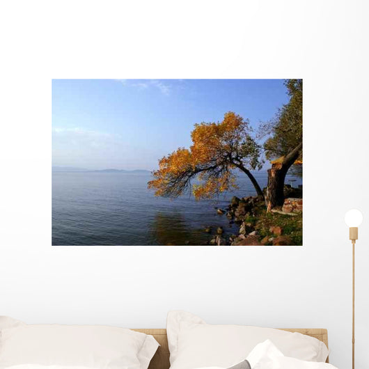 Lake Balaton Wall Decal