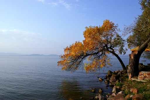 Lake Balaton Wall Decal