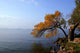 Lake Balaton Wall Decal