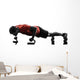 man exercising fitness workout push ups  silhouette Wall Decal
