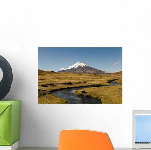 Cotopaxi Volcano and Blue Wall Decal