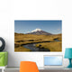 Cotopaxi Volcano and Blue Wall Decal