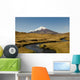 Cotopaxi Volcano and Blue Wall Decal